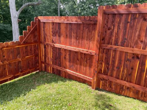 Best Stain For Cedar Fence 2023