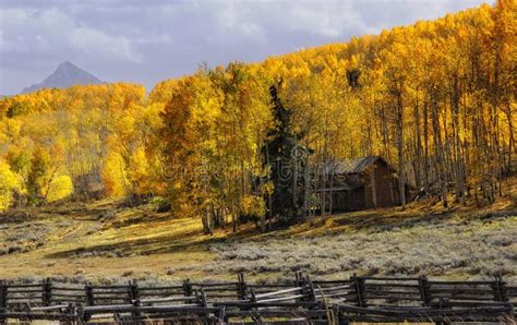 Fall Mountain Cabin Stock Photo Image Of Colorado Fence 22219100