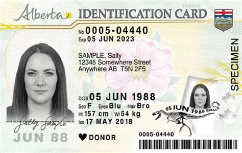 New Alberta Drivers Licence And Id Cards To Save 1m Per Year