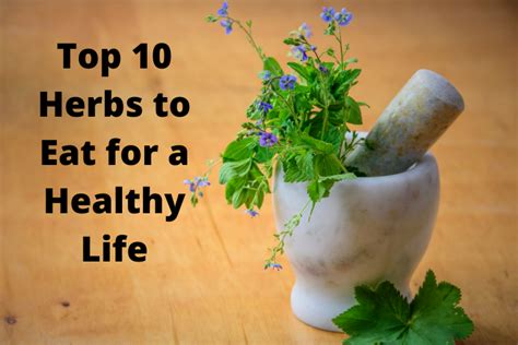 Top 10 Herbs To Eat For A Healthy Life