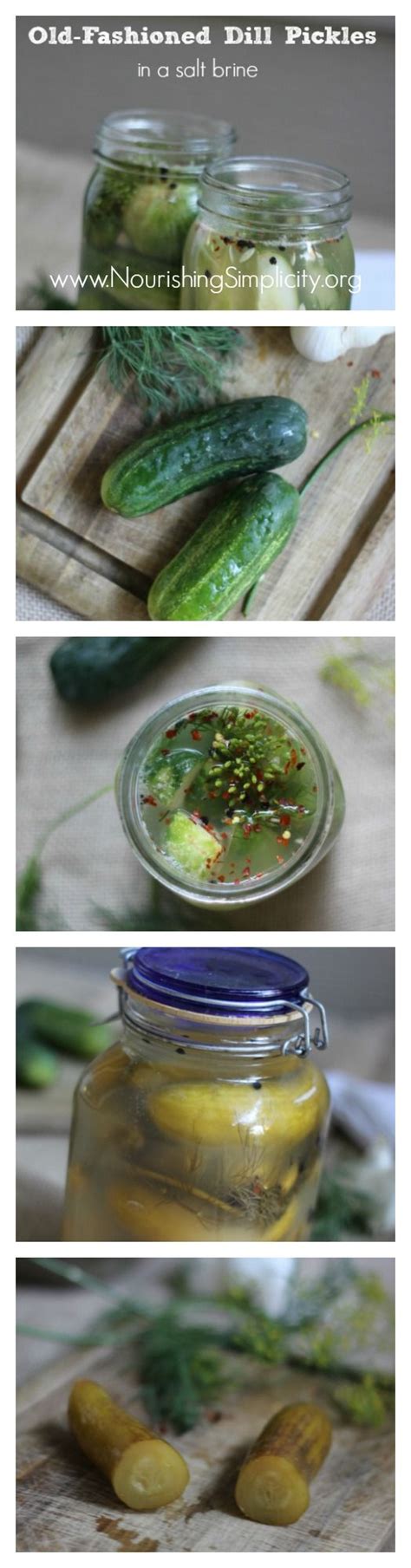 Must eat with sharp cheddar cheese on a triscuit cracker for full enjoyment. Old-Fashioned Dill Pickles - Nourishing Simplicity ...