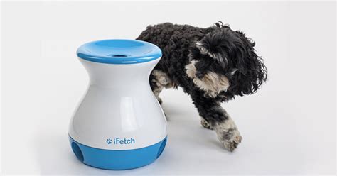 20 Interactive Dog Toys To Keep Your Pup Busy And Engaged Purewow