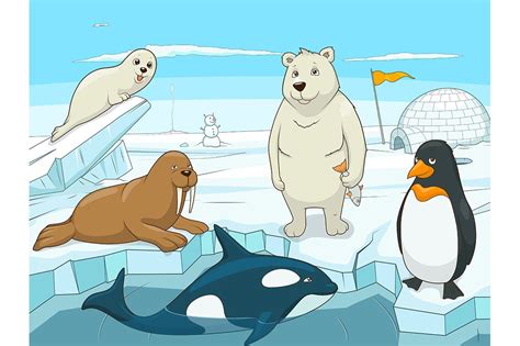 Cartoon Arctic Animals North Or South Polar Animals Cartoon Design
