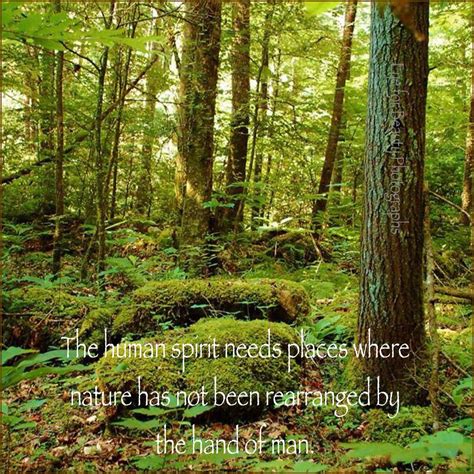 Taken on Devils Fork Loop Trail on the way to the Devils Bathtub in