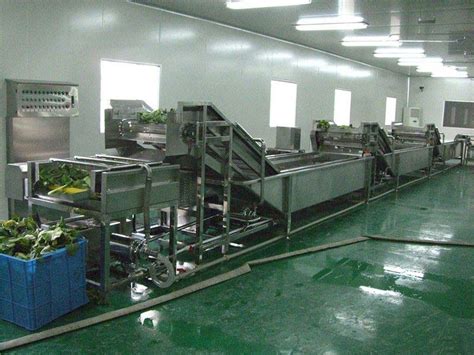 Shivaay Engineers Ginger Processing Machines By Sun Engineers From Pune