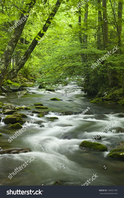 Mountain Stream In The Spring Stock Photo 103931705 Shutterstock