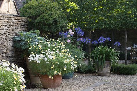 Large Pots And Containers In Small Courtyard Garden With Gravel Small