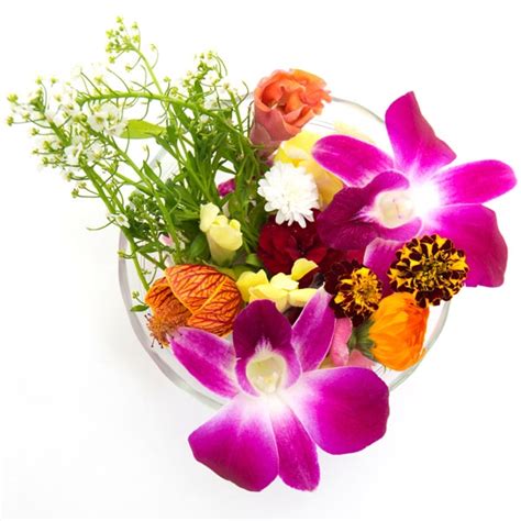 Maybe you would like to learn more about one of these? Edible Flowers