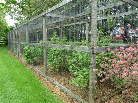 Sealing cracks and holes, fixing leaks and improving garbage management deprive pests of food, water, shelter and ways to get around. Blueberry bush cage... | In The Garden | Pinterest ...