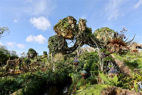 Go Behind The Magic Of Pandora For Its Third Anniversary The Dis