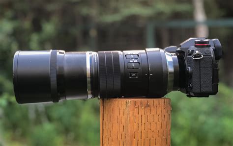 Review Of The Olympus 300mm F4 Pro Lens For Mirrorless Four Thirds Systems
