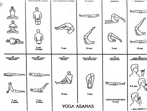 1977 Transcendental Meditation Yoga Asanas Free Download Borrow And Streaming Internet Archive