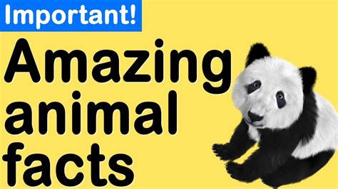 Top 176 Interesting Amazing Facts About Animals