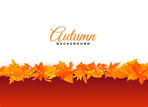 Elegant Autumn Background Leaves Design Download Free