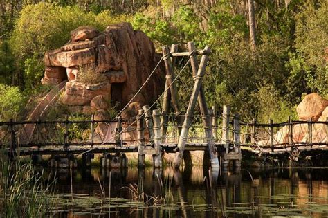 Eerie Abandoned Disney Water Park Where Boy Was Killed Has Been Left To