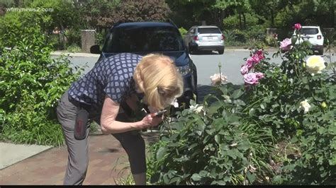 Nc Horticultural Therapist Uses Plants To Help Patients Heal