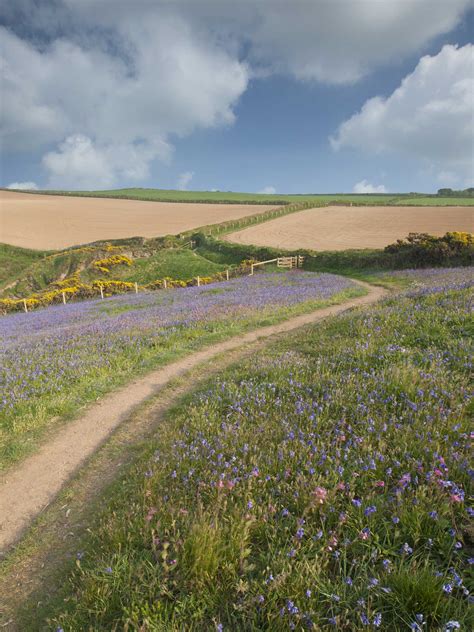 Ponsrys) is a town in north cornwall, england, uk, located on the camel estuary some 5 miles (8 km) upstream in 1882 cracks started to appear in the rock on which the eddystone lighthouse was positioned. Our Location - Bed and Breakfast Wadebridge, Rock