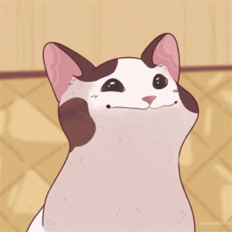 Pop Cat Oatmeal Anime 