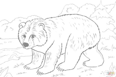 Brown Bear Printables - Coloring Home