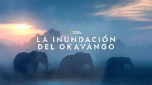 Ver La inundación del Okavango | Película completa | Disney+