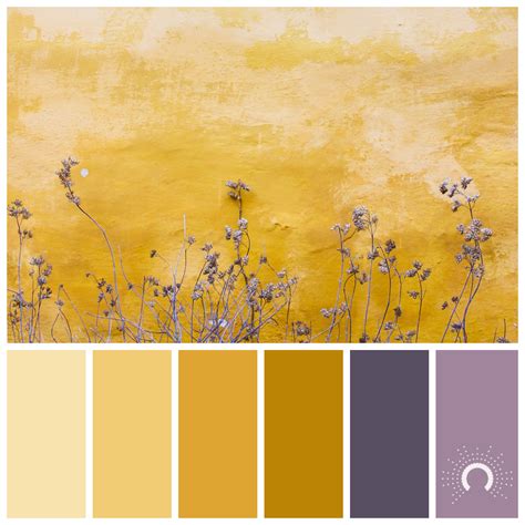 Purple Astelles Colors Color Palette Yellow Lavender Color