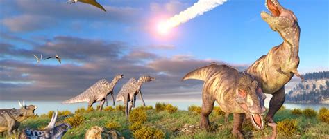 At Their Peak How Many Dinosaurs Roamed Earth Bbc Science Focus