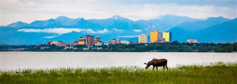 Anchorage is the largest city in alaska, in the southcentral region. 8 Best Things to Do in Anchorage, Alaska