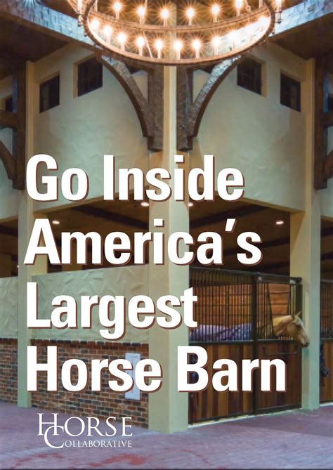 Place in horse racing, a placed horse is one that finishes second in a race (nam),202 or in the box stall (us) see loose box boxwalking (uk) a stable vice exhibited in horses left in a stable, where they a lightweight horse kept for riding only. There is nothing wrong with your horse barn. It does ...