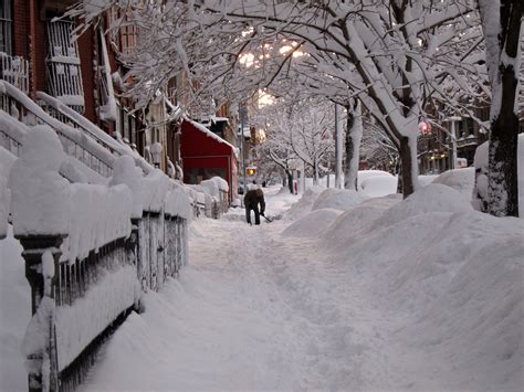 Boubat, rence sous la neige, paris, 1955 author unknown, 1917 wilfred r. 2011 Year in Review: Biggest New York Stories - WNYC