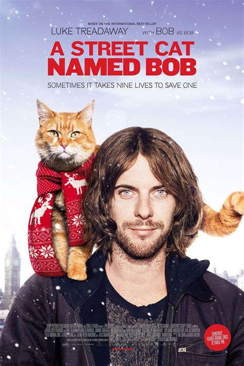 The setting is fairly good, yet i think it ends quite fast as james became famous just in 2 scenes. A Street Cat Named Bob DVD Release Date | Redbox, Netflix ...