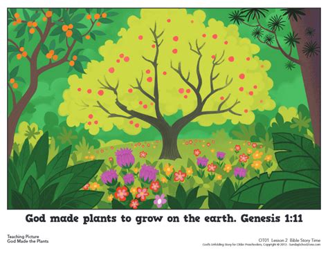 God Made The Plants Teaching Picture Childrens Bible Activities