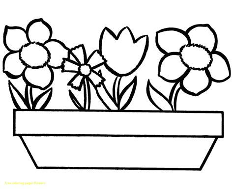 Kartun Gambar Mewarna Bunga 20 Sketsa Gambar Mewarnai Bunga Untuk