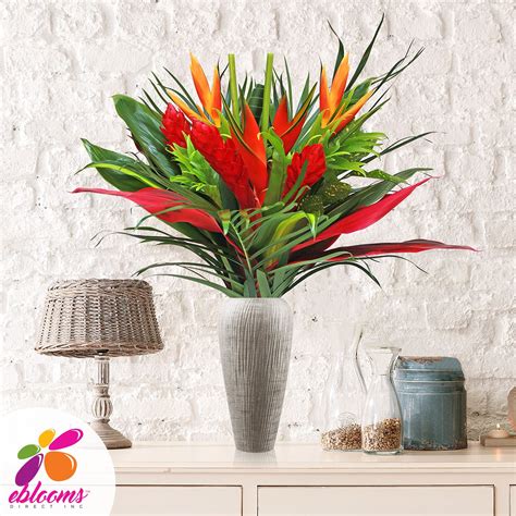 This is a very unique product because you get a very nice mixture of tropical flowers and foliage in one box. Wild About You Tropical Bouquet in 2020 | Bulk flowers ...