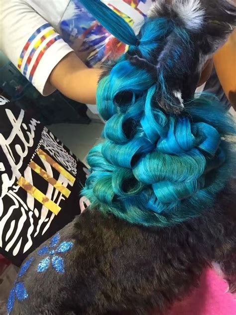 Variance is the way of everyday life. OPAWZ Permanent Dye for Dog and Horse, and OPAWZ Temporary ...