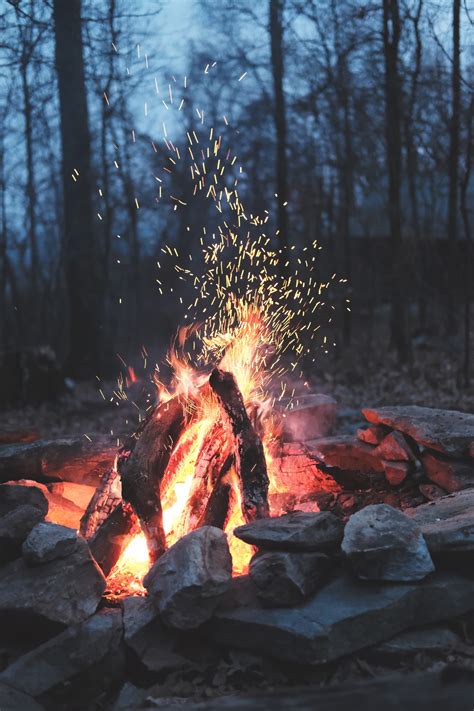 Fire Campfire Flame And Forest Hd 4k Phone Hd Wallpaper