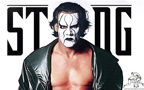 Sting Wwe Wallpapers Wallpaper Cave