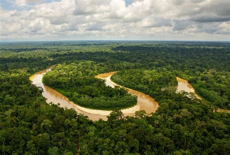 Amazon Basin Rainforest Trust