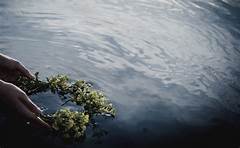 A Call To Remember Obituaries Reunite Families Scattered By Time