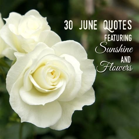 30 June Quotes Featuring Sunshine And Flowers Holidappy