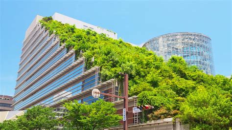 10 Building Advantages Applying Green Building Concept Motomo Karya