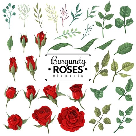 Rote Rosen Gartenburgunder Rosenblüten Blumensträuße Mit Knospen Und