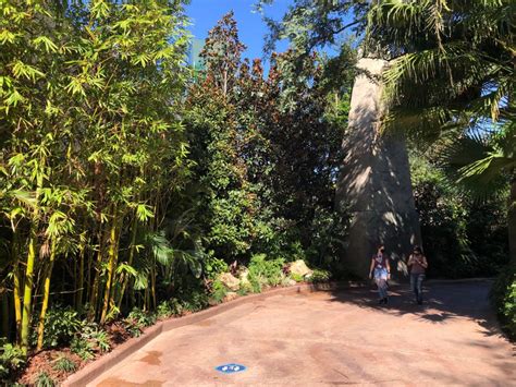 Photos Construction Walls Down Near Jurassic Park Entrance In Universals Islands Of Adventure