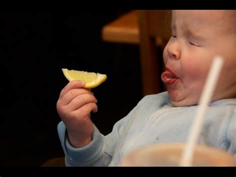 Babies Eating Lemon For The First Time Compilation Full HD I YouTube