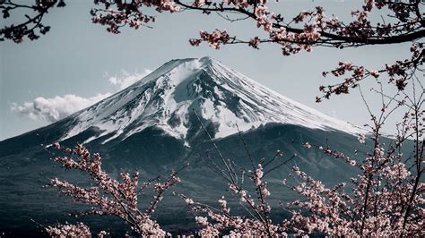 Mt Fuji Local Landmark Background Templates By Canva