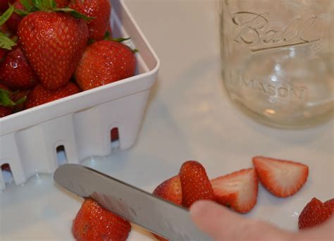 How to Keep Berries Fresher Longer (With images) | Berries, Fresher longer, Storing fruit