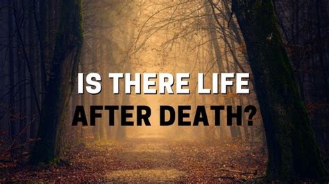 Is there life after death? - Quora