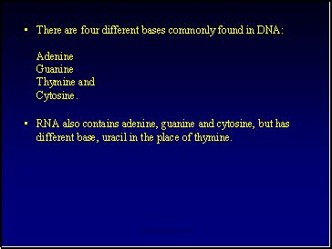 3 — nitrogen bases — four different nitrogen bases are found in dna. Dna Structure - SliderBase