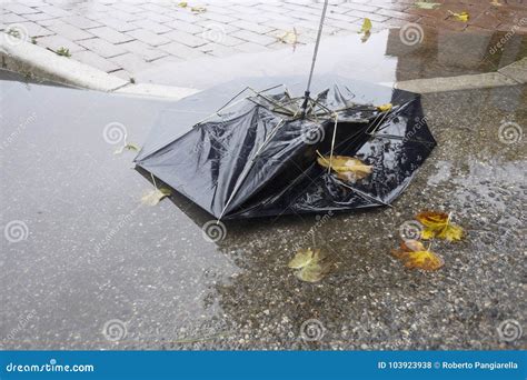 Broken Umbrella Stock Photo Image Of Lies Rain Concept 103923938