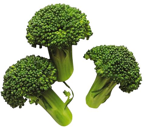 Broccoli Png Image Png Mart
