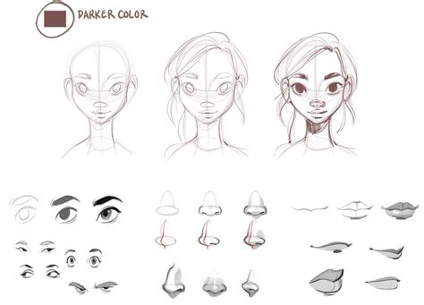 Image Result For Face Proportions Tutorial J Scott Campbell Art